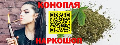 шишки Моздок