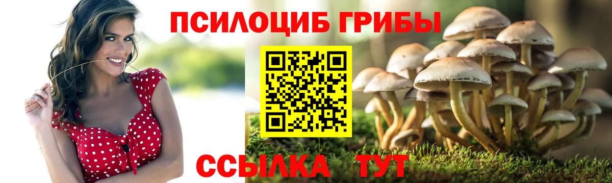 Псилоцибиновые грибы Magic Shrooms  Вход с VPN  Фролово  Псилоцибиновые грибы мухоморы 